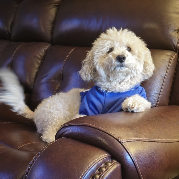 Meet your Posher, Erin - Picture 12 of 16